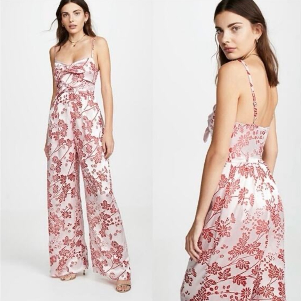 Likely | Women’s Pink Red Floral Velvet Campbell Spaghetti Strap Jumpsuit Size 2